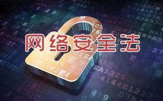 政策引領(lǐng)，網(wǎng)絡(luò)安全產(chǎn)業(yè)邁入發(fā)展快車道 計(jì)算機(jī)軟硬件技術(shù)開發(fā)的雙輪驅(qū)動